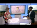 Julie Zell with Friends of the Grout Historic Houses - KWWL News at Noon
