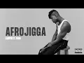 LADIPOE - Afro Jigga feat Rema (Official Audio)