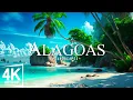 Alagoas 4K - Exploring the Pristine Beaches of Brazil s Hidden Gem 4K
