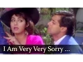 Download Lagu I Am Very Very Sorry Tera Naam | Salman Khan | Sridevi | Chand Ka Tukda | Bollywood Hit Songs