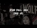diyar pala~Anla