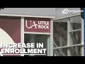 UALR enrollment making comeback after years of dwindling student body