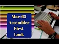 Assembler Debugger First Look and Intro