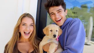 Download SURPRISING MY SISTER WITH A NEW PUPPY!! MP3