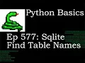 Python Basics Tutorial How to Find the Name of the tables in Sql DataBase