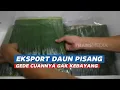 Download Lagu Eksport Daun Pisang Gede Cuannya Gak Kebayang | CUAN BOSS (20/07/24)