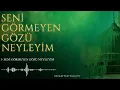 Download Lagu Seni Görmeyen Gözü Neyleyim | Muzaffer Yalçın
