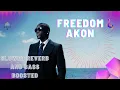 Download Lagu Akon- Freedom  [Slowed Reverb + Bass Boosted]  Extreme Bass ‼ ⚠ Use Headphones 🎧