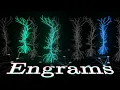 Download Lagu Building Blocks of Memory in the Brain