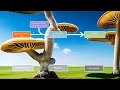 Openness-to-Integration A Conditional Process Analysis of Psychedelics Use and Nature Relatedness