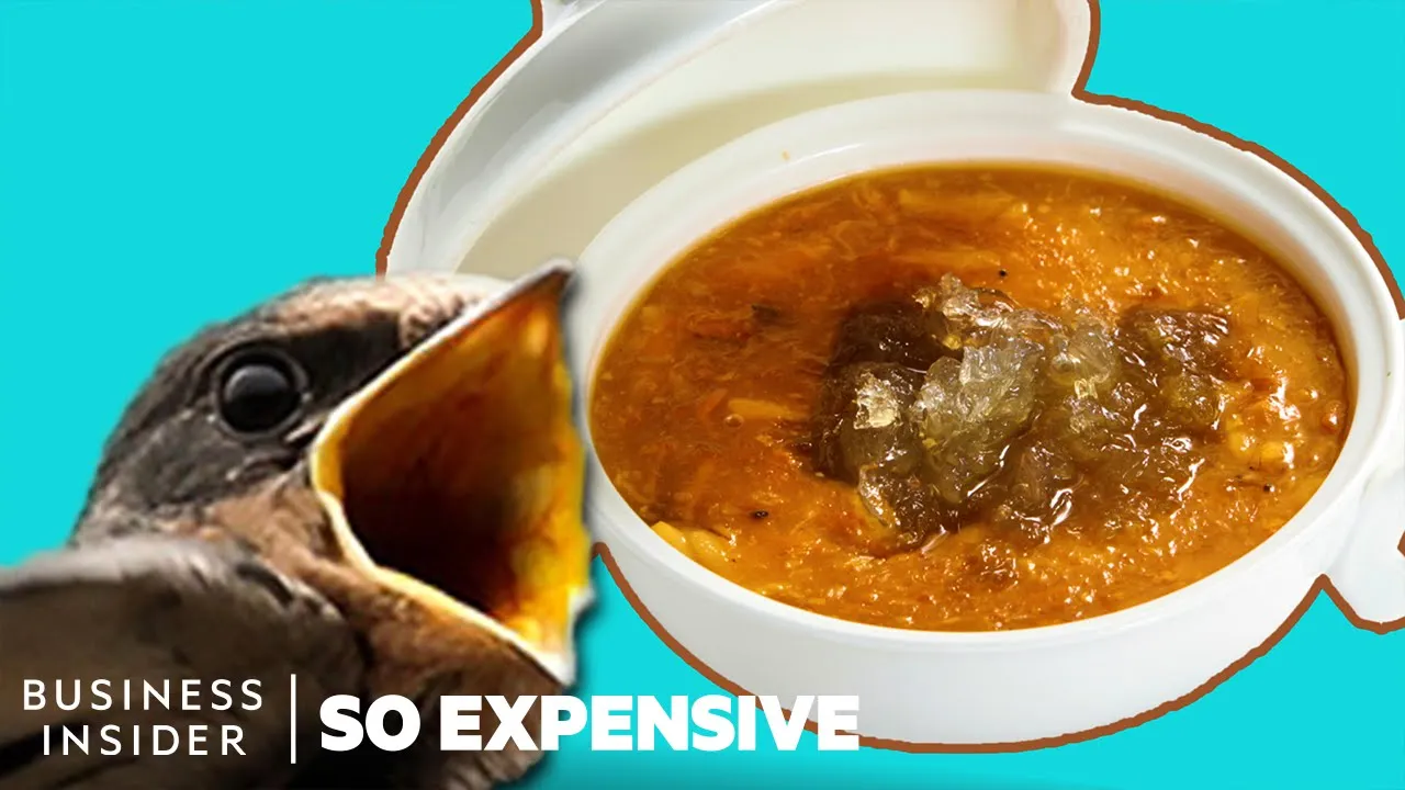 Why Bird's Nest Soup Is So Expensive
