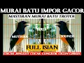 Download Lagu MURAI BATU IMPORT GACOR ~ ISIAN CUCAK JENGGOT CIGUN GEREJA CUCAK CUNGKOK- PANCINGAN MURAI AGAR BUNYI