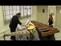 La Villa Strangiato II - Alex Lifeson & Geddy Lee