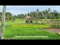 Download Lagu Video Profile Desa Wisata Kalongan Ungaran Timur | Kalongan Tourism Village 🌾⛰️🌲