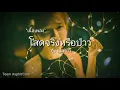 โสดจริงหรือเปล่าV.2 - กุ้ง นนทิยา (เนื้อเพลง)
