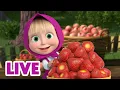 Lagu 🔴 LIVE! Masha dan Beruang 👧🐻 Rasa Musim Panas 😋🍓 Kartun anak-anak 🎬 Masha and the Bear