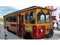 Jolly Trolley Full Ride To Clearwater Marine Aquarium
