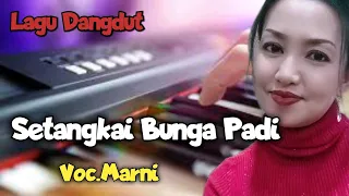 Download Setangkai bunga padi - Voc, Marni || Elvy Sukaesih #trending #dangdut MP3