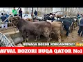 AVVAL MOL BOZORI KOTTA-KICHIK BUQA NARXLARI NARXLAR YANA OSHDIMI? ÓZIZ KÓRING😱😱🔥😱13 декабря 2025 г.