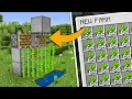 Sugar Cane Bamboo Farm Without Observers in Minecraft - 100 Items Per Hour