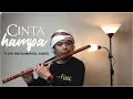 Download Lagu D'lloyd - Cinta Hampa (Flute Instrumental Cover)