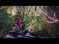 The Mill that Built Logan - Hiking to the Temple Fork Sawmill