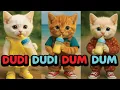 🍼👶Dudi Dudi Dam Dam| Dudidam kittens dance #dudidudidam | Compilation