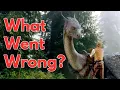 Download Lagu Eragon: The Franchise That Never Was
