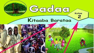 TOLEE ABBOO GADAA KUTAA 2FFAA BOQONNAA 1FFAA FI 2FFAA  TOLEE ABBOO GADAA KUTAA 2FFAA BOQONNAA 1FFAA FI 2FFAA