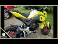 Honda Grom Mods ProTaper Contour Bars And Aodonly Racing Exhaust