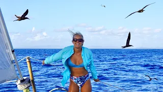 ATTACKED BY BROWN BOOBIES // Catamaran Sailing to Martinique
