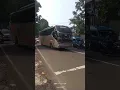Download Lagu Telolet Basuri Hayang Martabak Bus JHON CENA Gold Star #shorts #telolet #basuri #busmania #viral