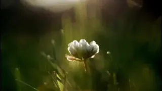 يارب عدت إلى رحابك تائبا  مستسلما  متمسك  بعراك دندنها