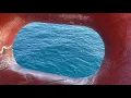 Jim Wallis & Nick Goss - Coral