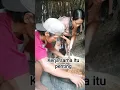 Download Lagu inilah proses pembuatan gula semut yang di lakukan dengan kesja sama.