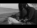 أحلى صدفه - محمود التركي - جديد 2025