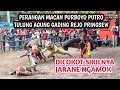 Download Lagu PERANG MACAN PURBOYO PUTRO TULUNG AGUNG