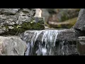 Download Lagu Waterfall Sound | صوت خرير الماء بدون موسيقى 💦 (4K)