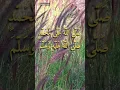 Download Lagu Calm Your Heart with This Simple Prayer | Sholawat Jibril