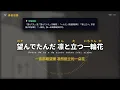【名曲教學】tuki. 催淚神曲〈一輪花〉完整歌詞日文教學｜完整語法解析 | 全歌詞文法・單字・拼音特訓 ｜(完整中日歌詞/羅馬拼音)