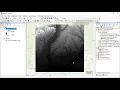 Working with raster data