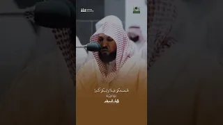  ق ل نار  ج ه ن  م  أ ش د   ح ر  ا ل و كانوا ي فق هون    د  ماهر المعيقلي         دندنها