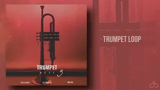 trumpet loop king saiman deejay zebra sa u0026 pro tee 