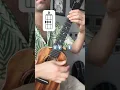 Download Lagu Let’s learn to play “Knocking on Heavens Door” in Percussive Reggae! #shorts #ukulele