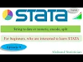 String to date or numeric encode split variable in Stata Episode-9