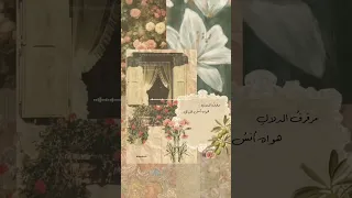 مرفرف الدلال هواه أنس الليالي     فيروز دندنها