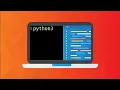 python3 tutorial s flag