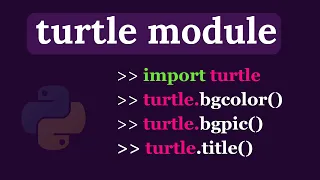 Python Turtle Graphics - bgcolor title bgpic