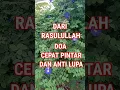 Download Lagu DOA CEPAT PINTAR DAN ANTI LUPA #doamustajab #dzikir #feedshorts