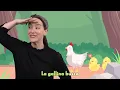 Los Pollitos Dicen | Canción Infantil | Canta con Miss Vale